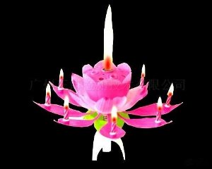 Magic Flower candle Magic Flower candle