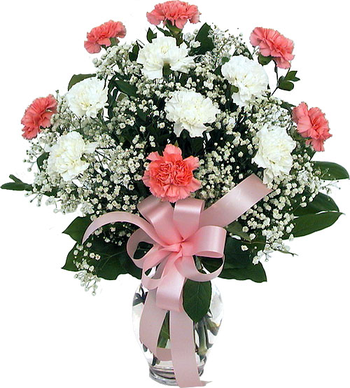 Bunch of 6 White and 6 Pink carnation Flowers Bunch of 6 White and 6 Pink carnation Flowers