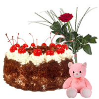 1kg Black Forest Cake with Small Teddy and Single Red Rose 1kg Black Forest Cake with Small Teddy and Single Red Rose