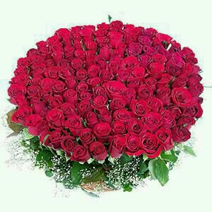 50 Red Roses 50 Red Roses