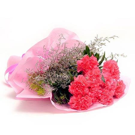 10 Carnations Pink 10 Carnations Pink