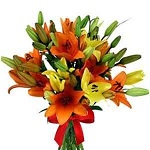 12 pcs lily fiower 12 pcs lily fiower