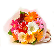 10 fresh mix gerbera bunch 10 fresh mix gerbera bunch