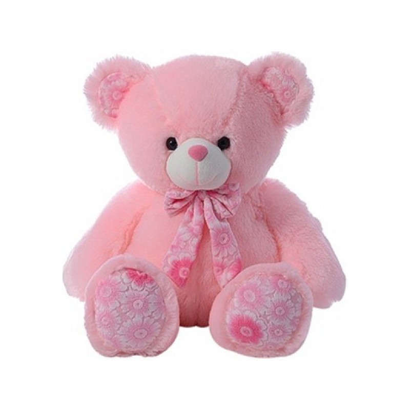 Pink teddy Pink teddy